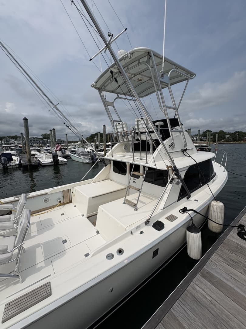 1972 Bertram 31