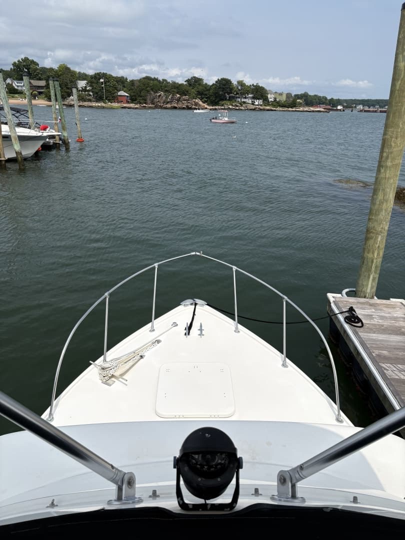 1972 Bertram 31