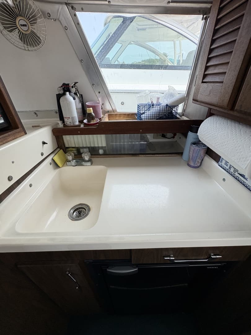 1972 Bertram 31