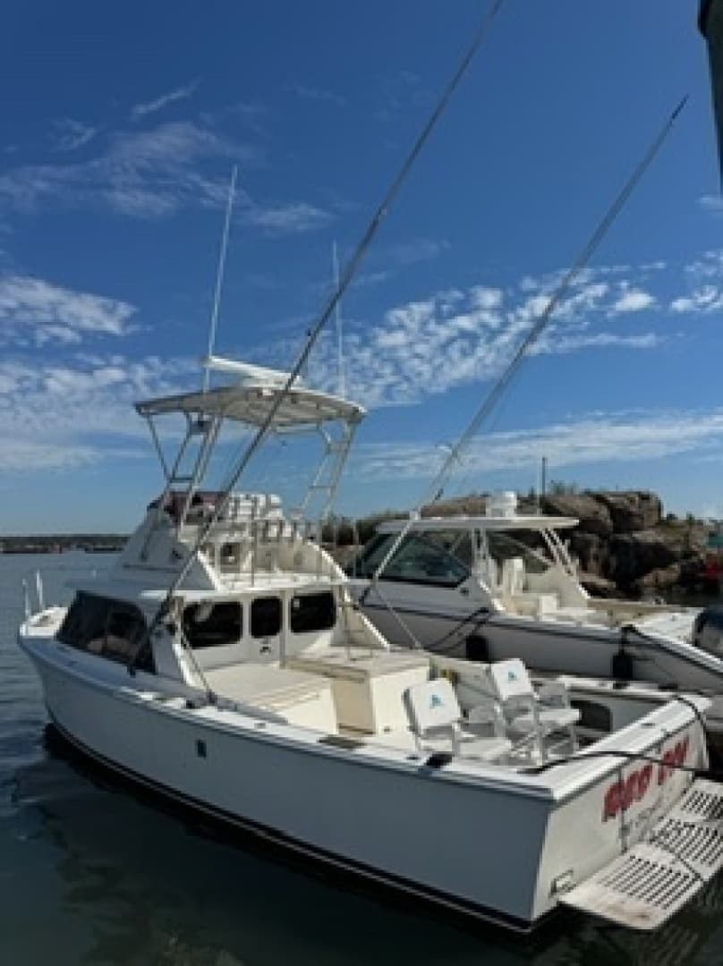 1972 Bertram 31