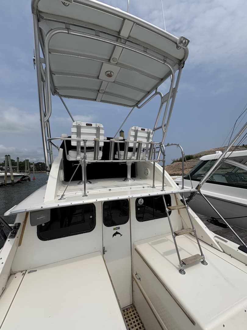 1972 Bertram 31