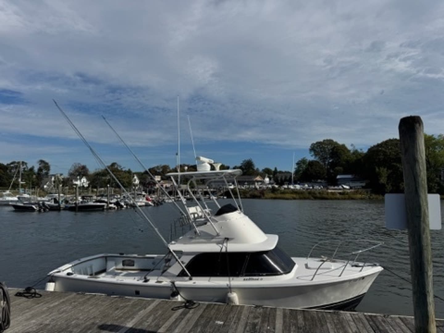 1972 Bertram 31