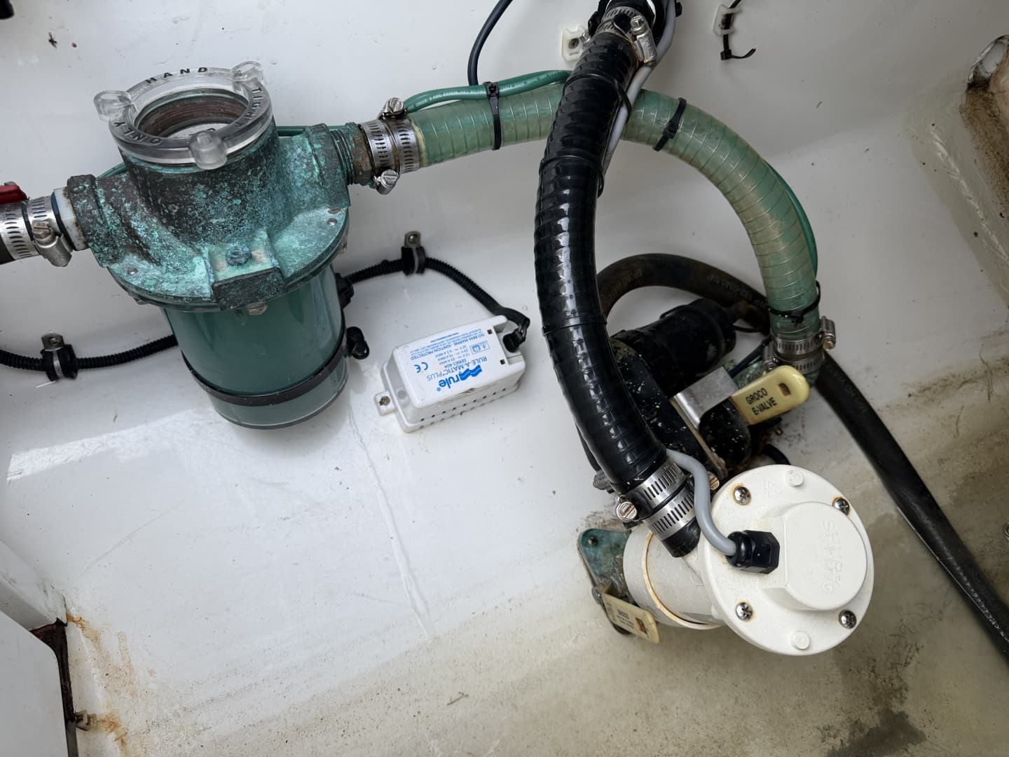 2019 Regulator 41