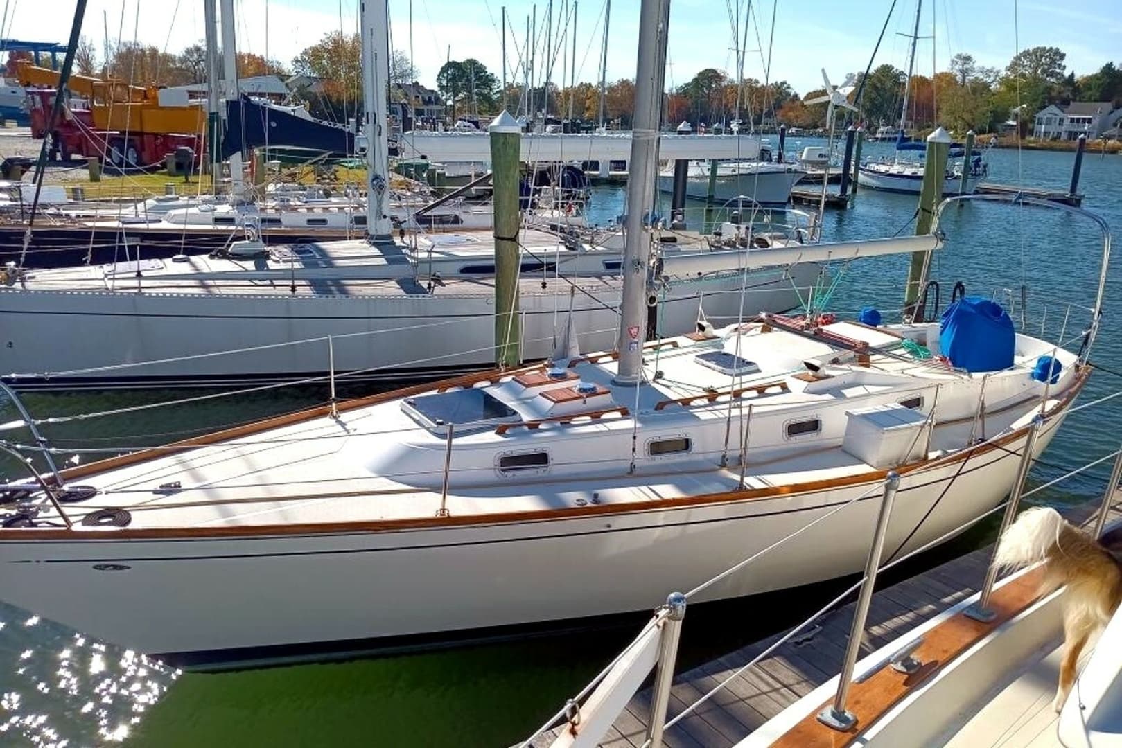 1980 Tartan 37