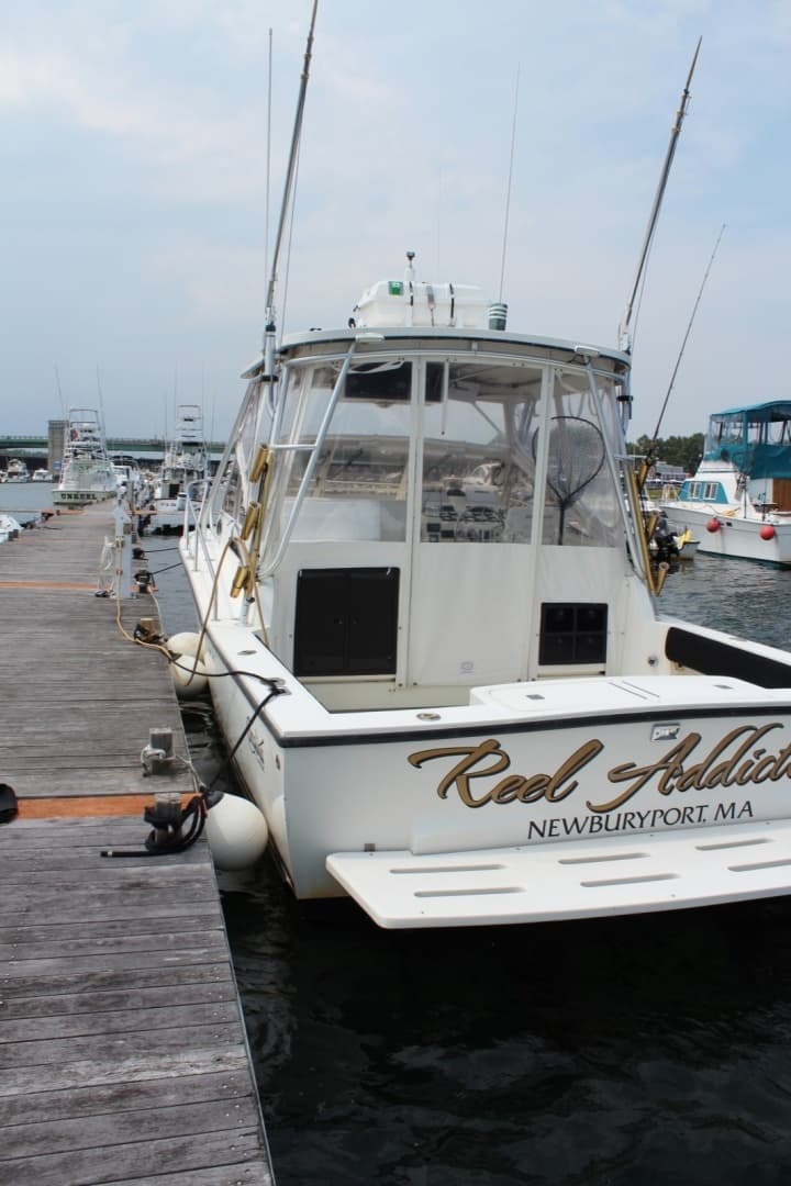 Portside At Dock