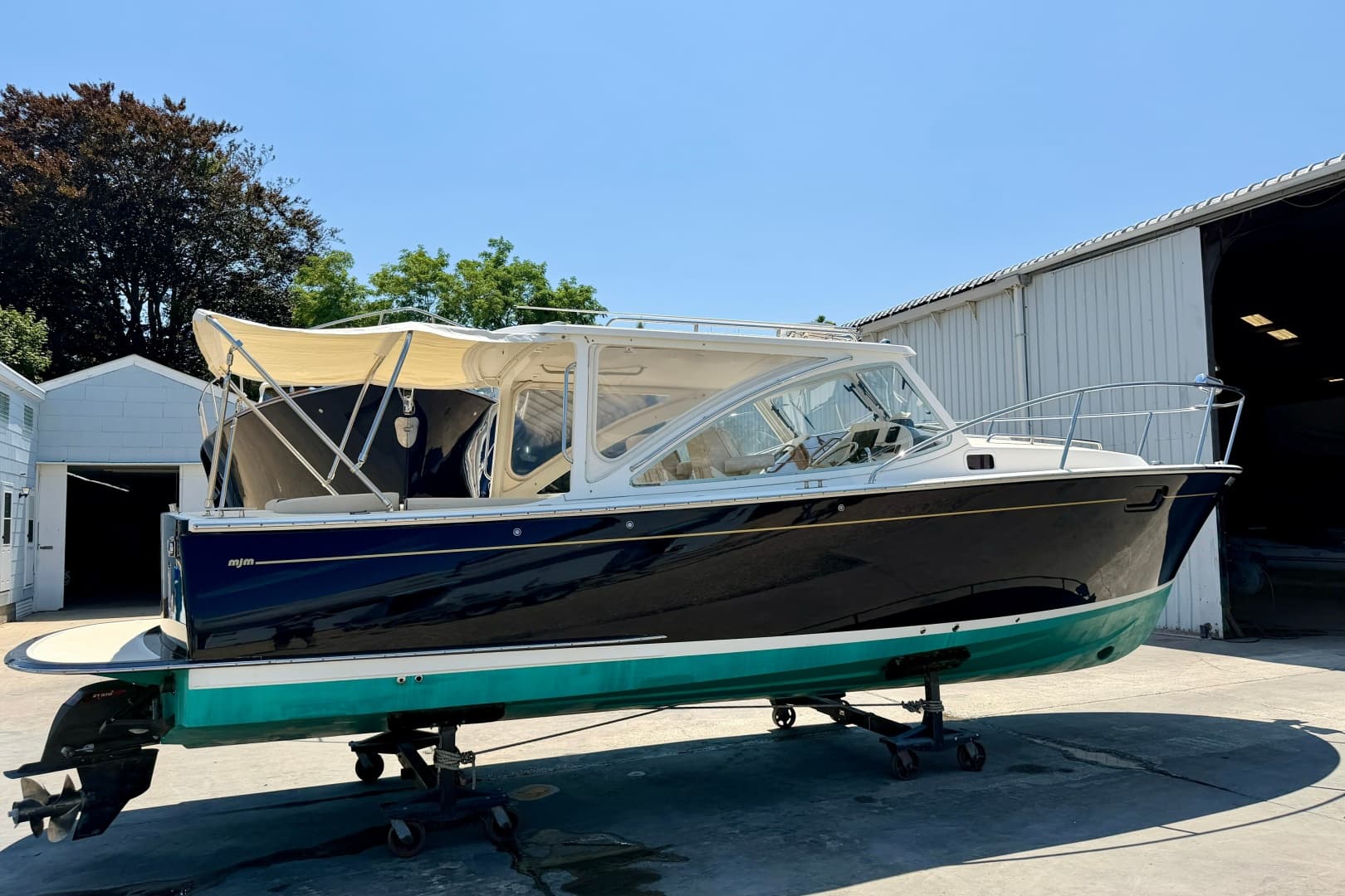 2009 MJM 29z