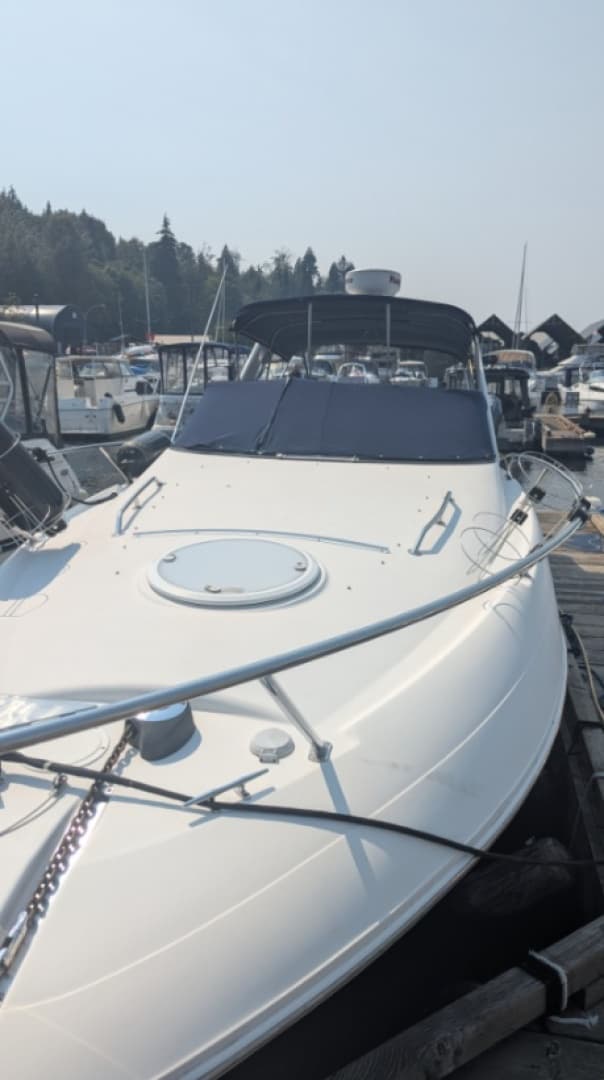 2010 Larson Cabrio 274