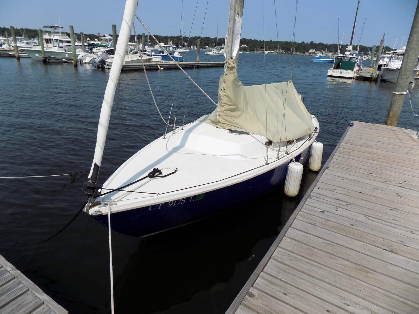 Port forward quarter