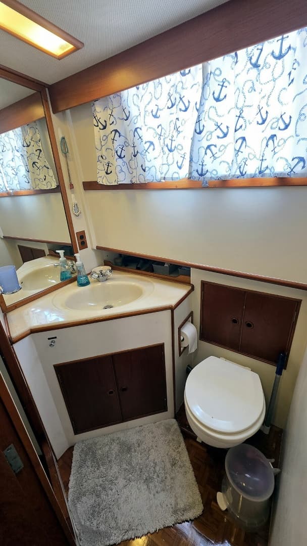 Master Head Vanity and Toilet