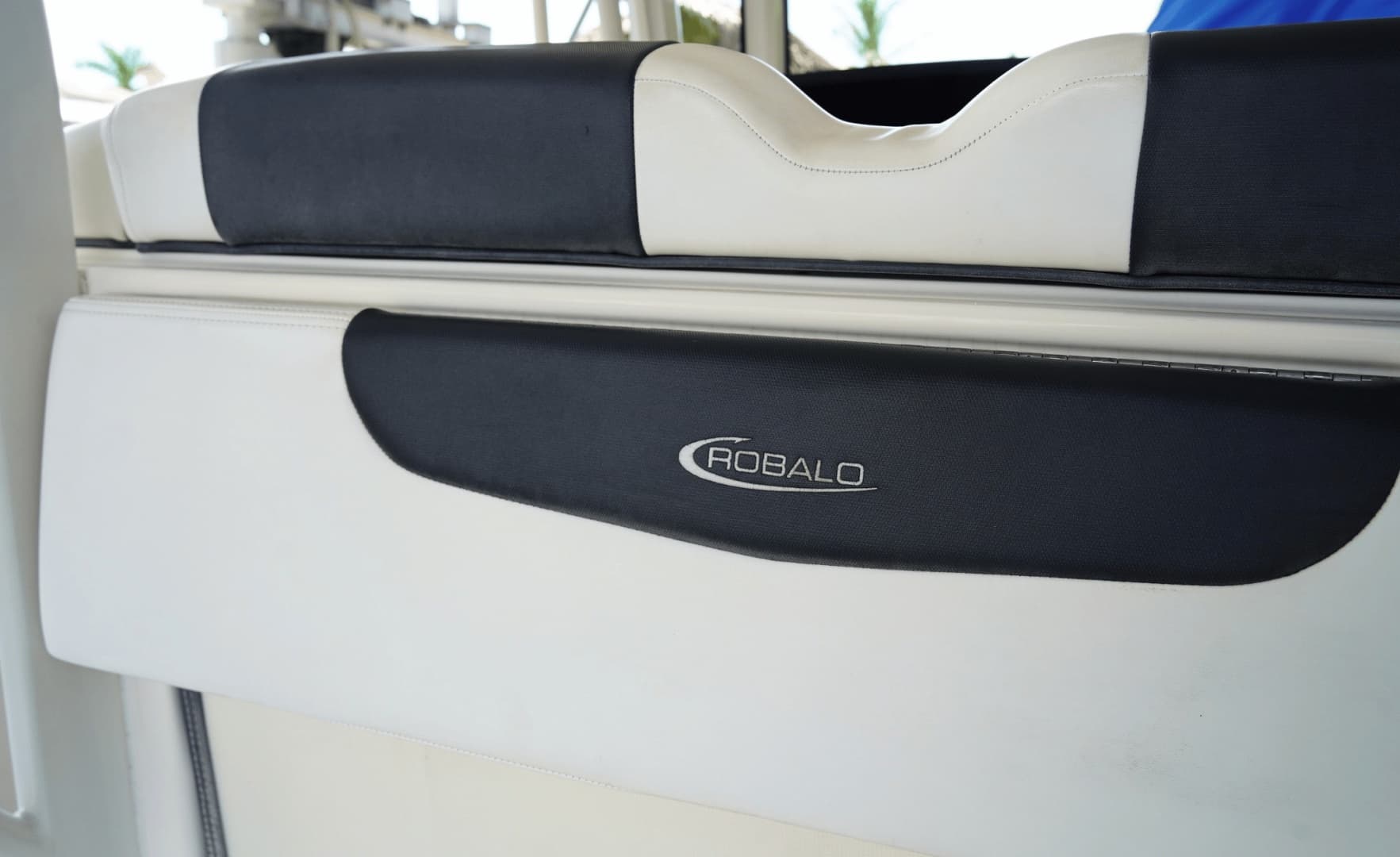 2020 Robalo 302