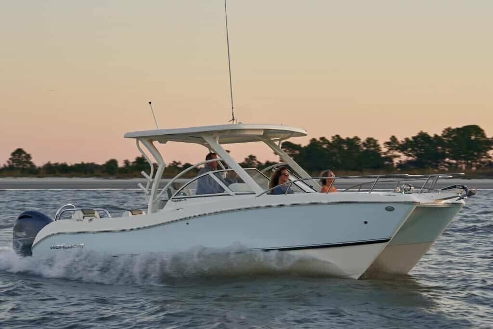 2013 World Cat 255 DC