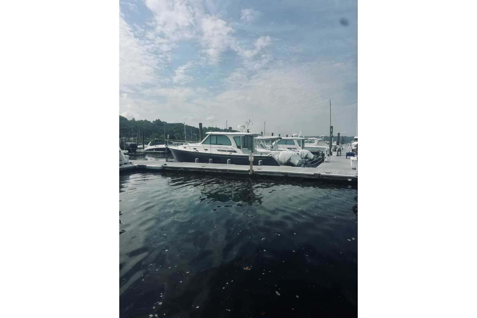 2023 Back Cove 39O
