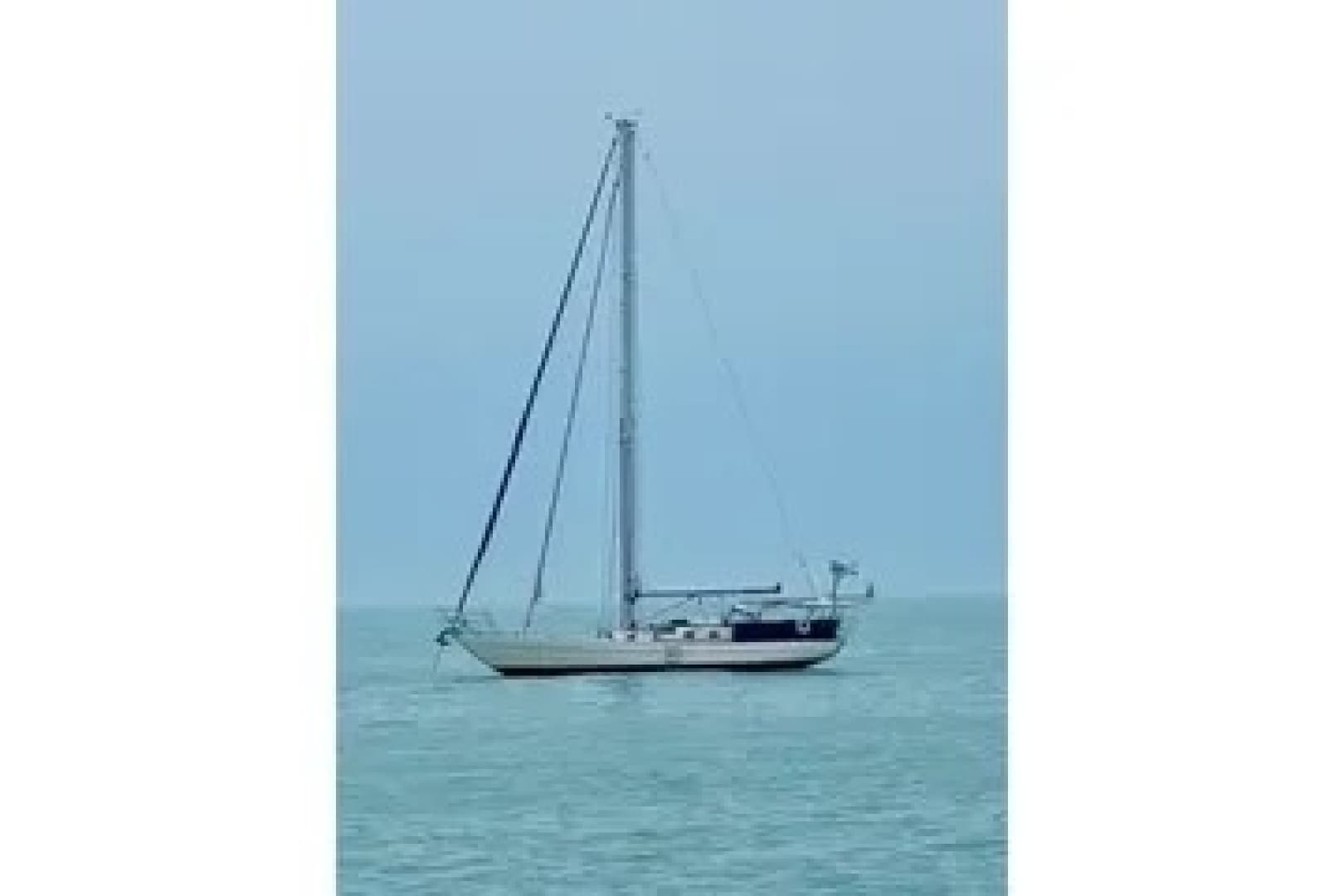 2011 Reliance 44