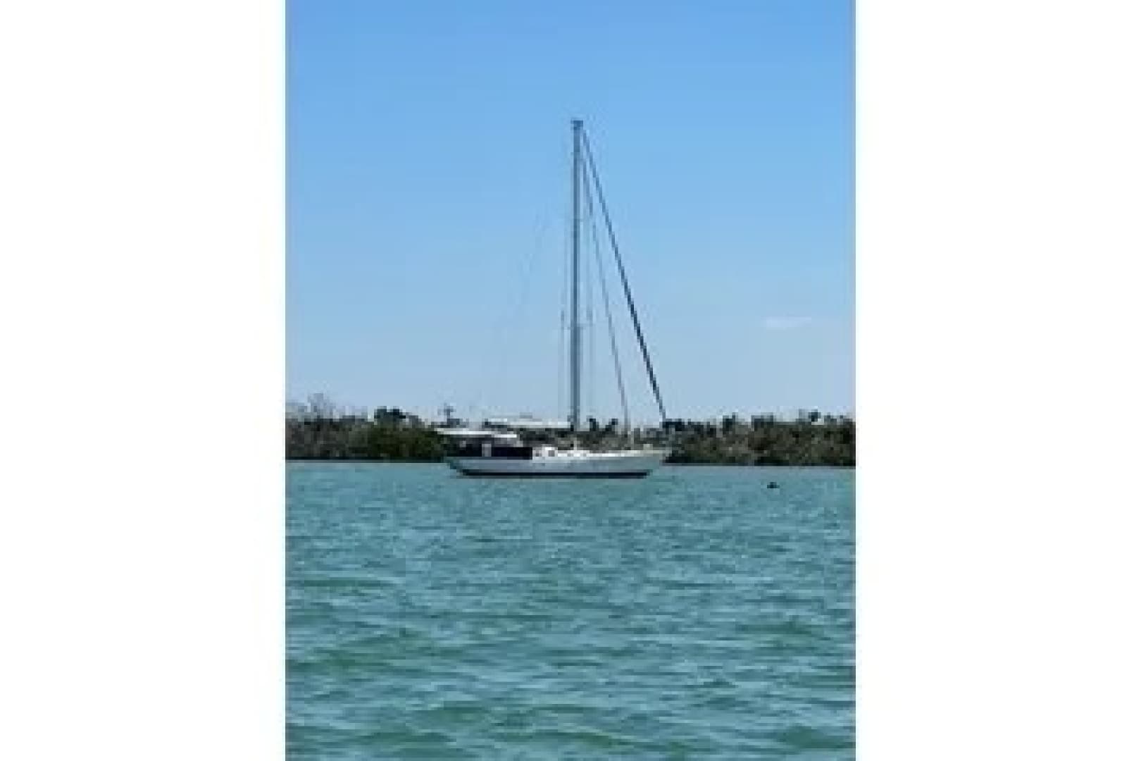 2011 Reliance 44