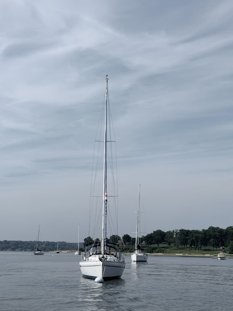 2015 Catalina 315