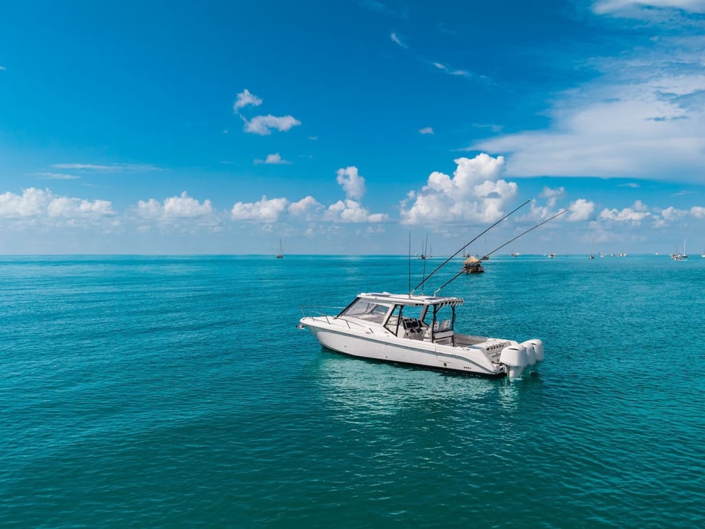 2019 Everglades 