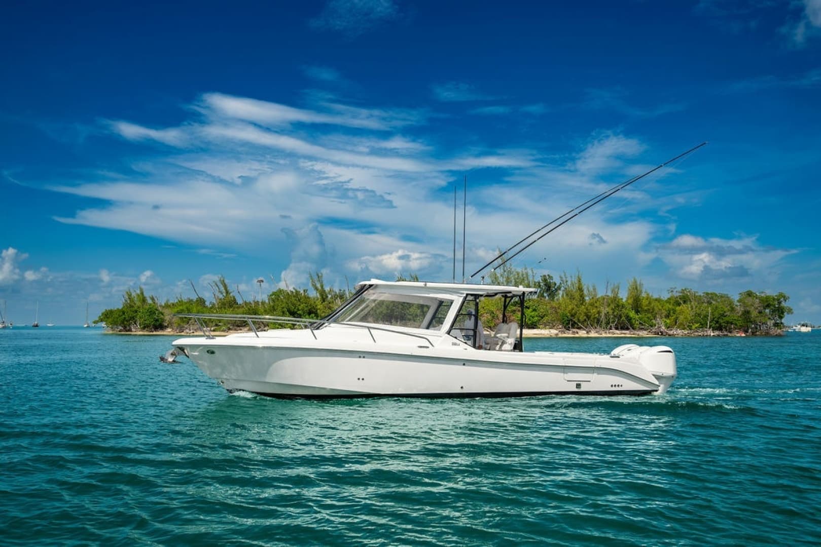 2019 Everglades 