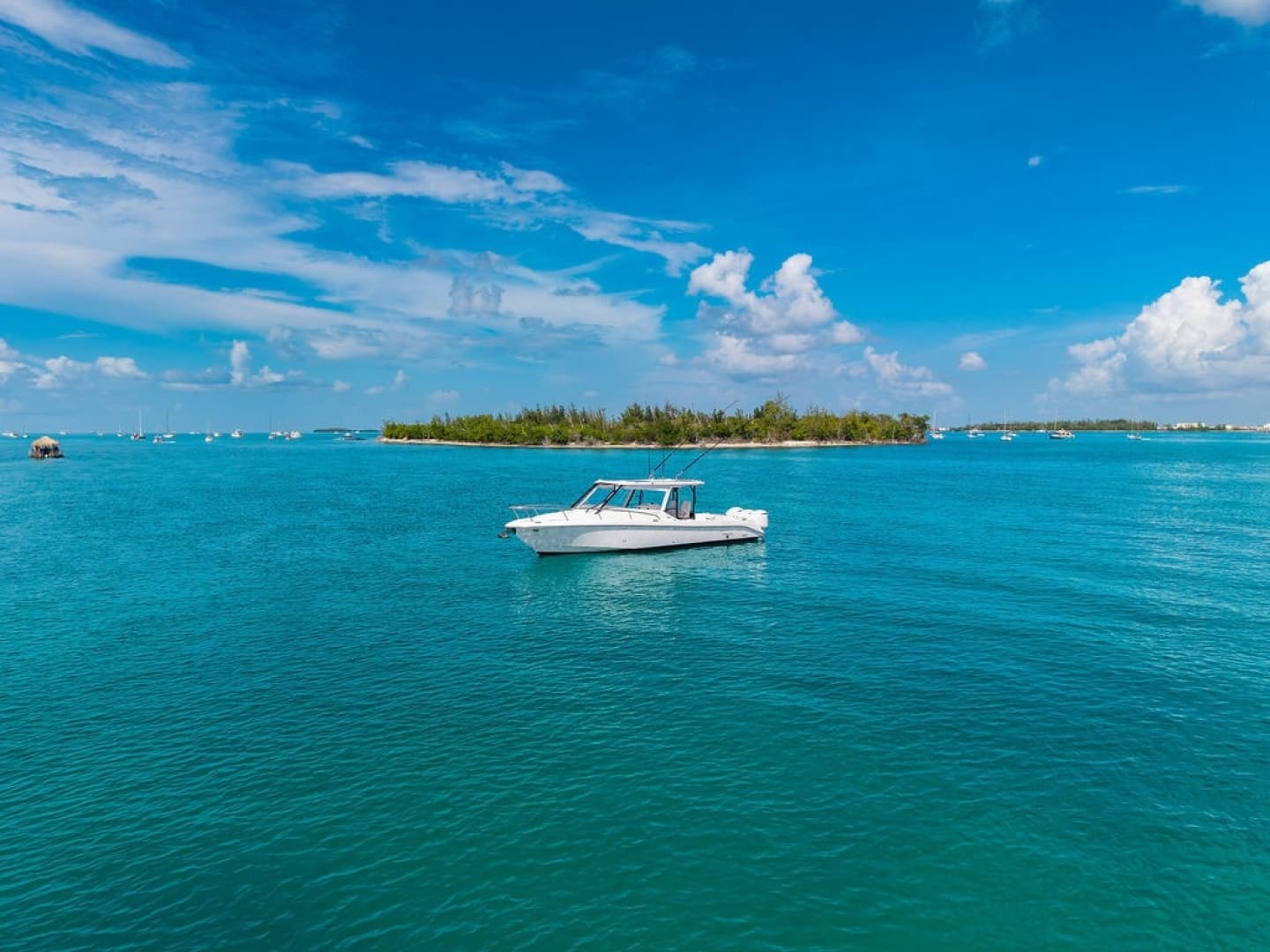 2019 Everglades 