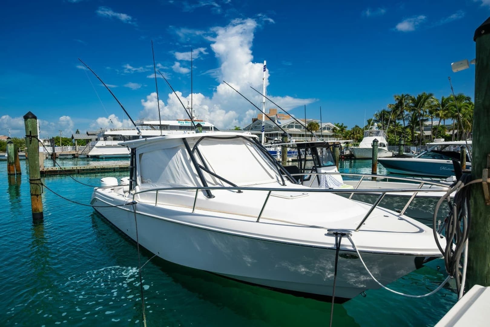 2019 Everglades 
