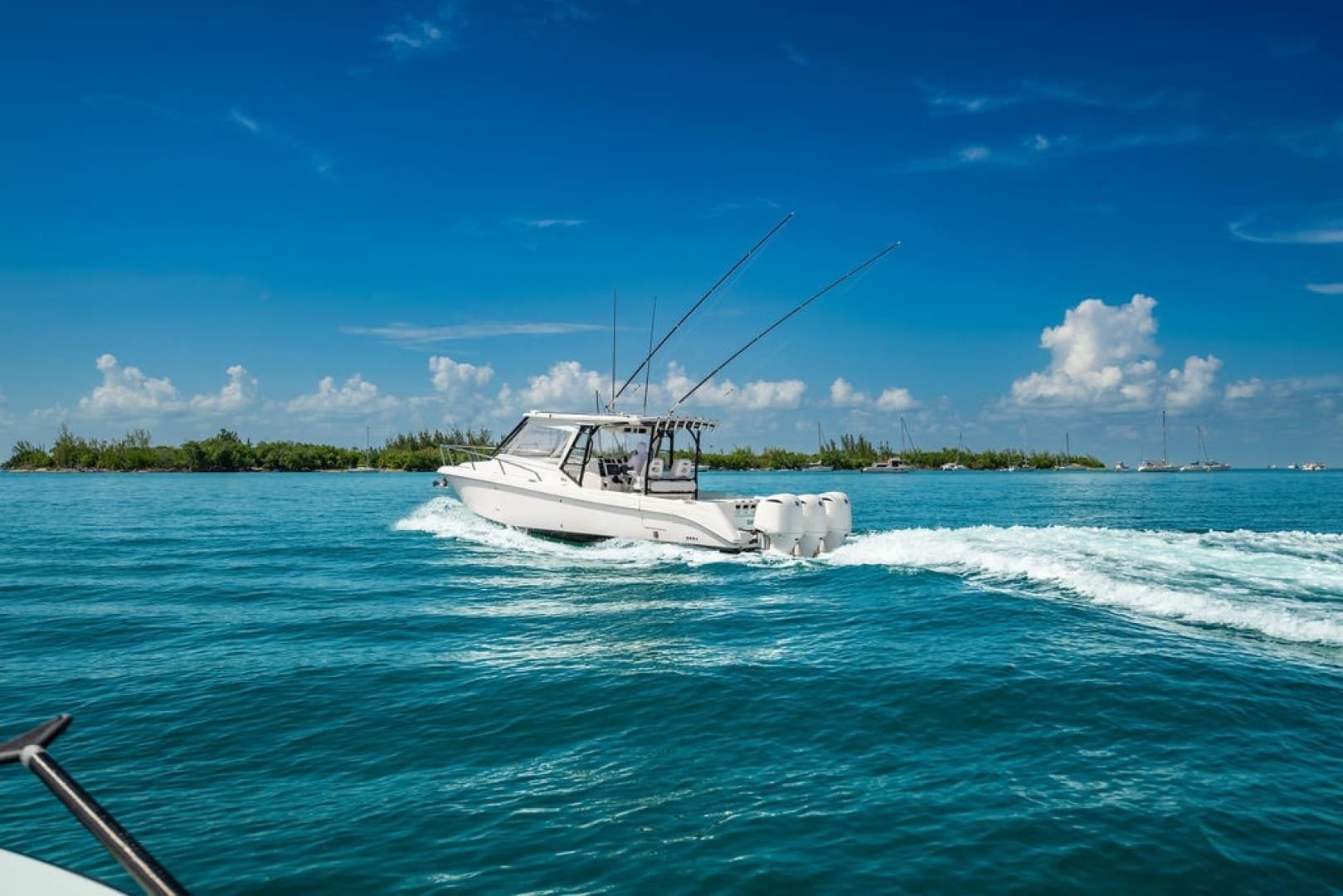 2019 Everglades 