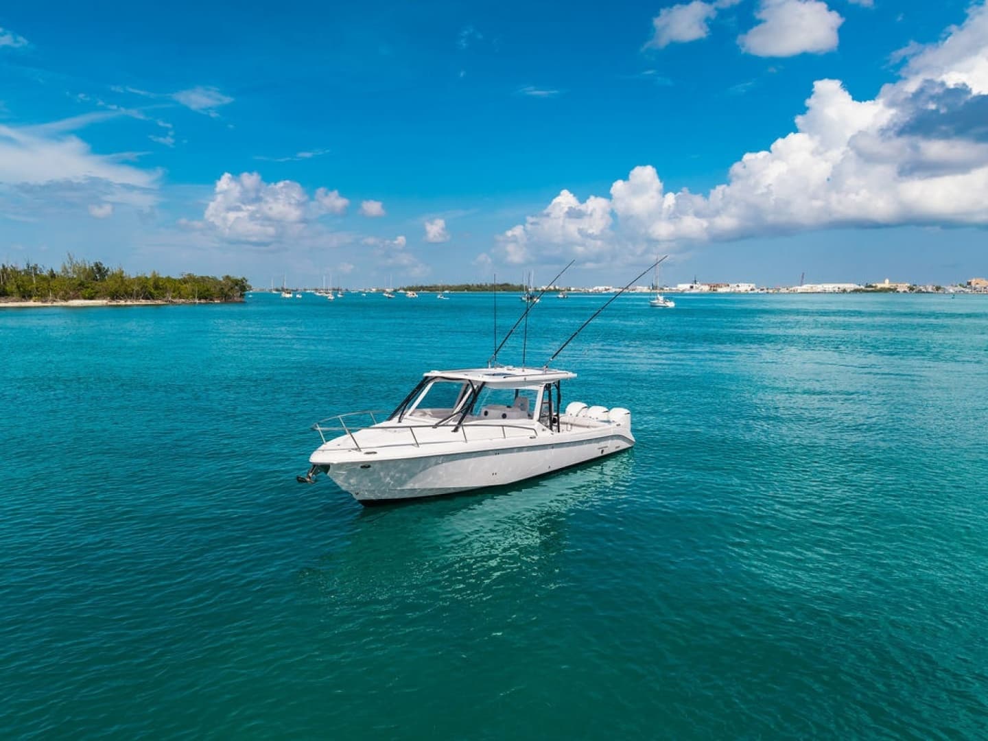 2019 Everglades 