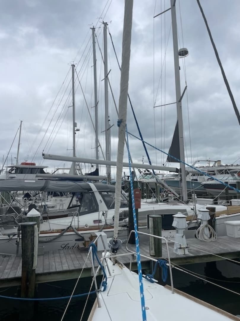 2017 Jeanneau 389