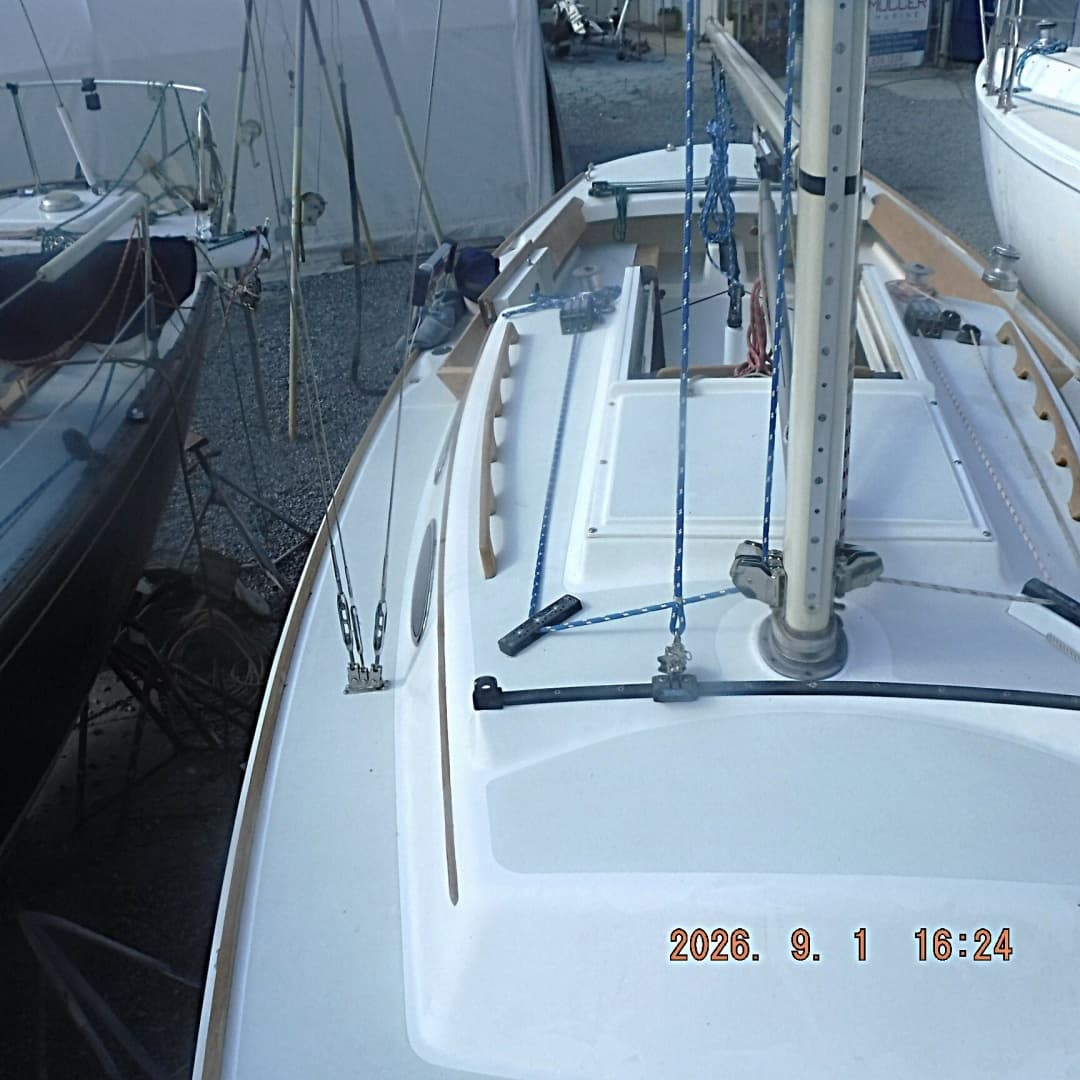 DSCF7176