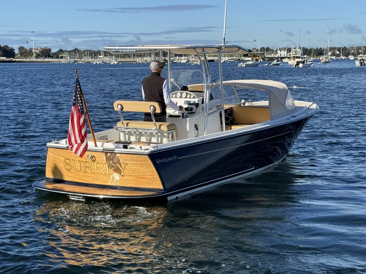 2010 Vanquish 24 Runabout