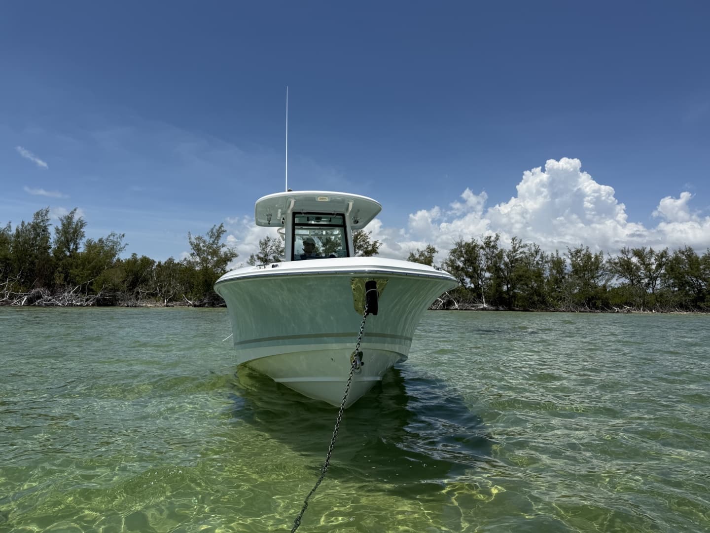 2019 Boston Whaler 280 Outrage
