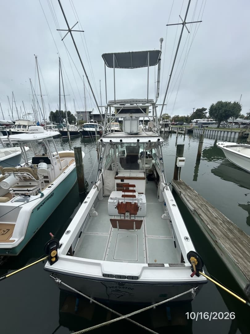 26' Shamrock aft profile