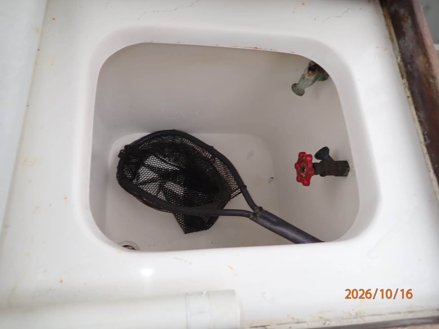 26' Shamrock cockpit livewell