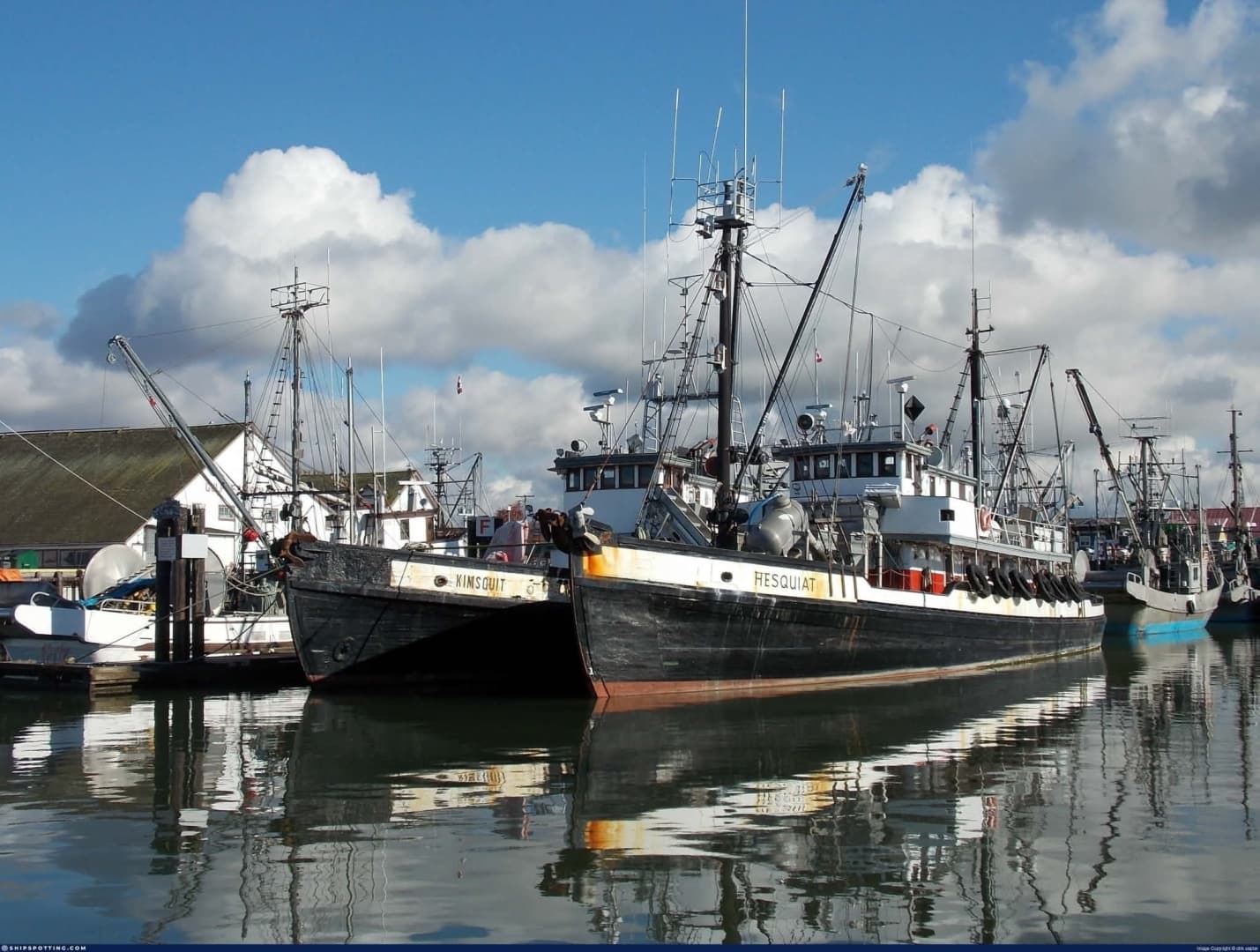 1944 Newcastle 104 Commercial Freighter