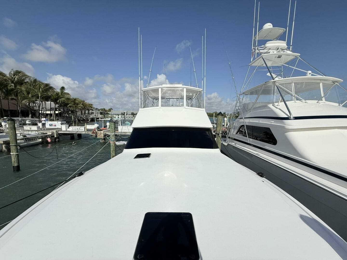 Viking 50 REEL LEGACY - Bow