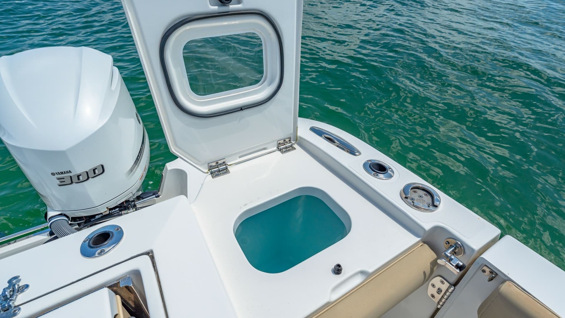 Aft Deck Livewell and Engine