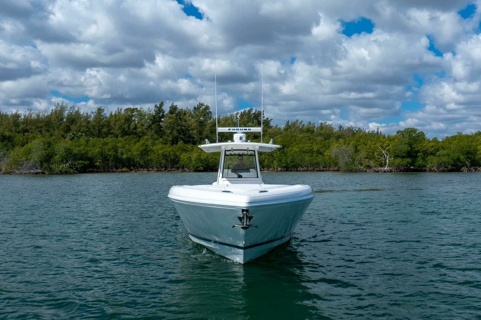 Intrepid 375 - Profile