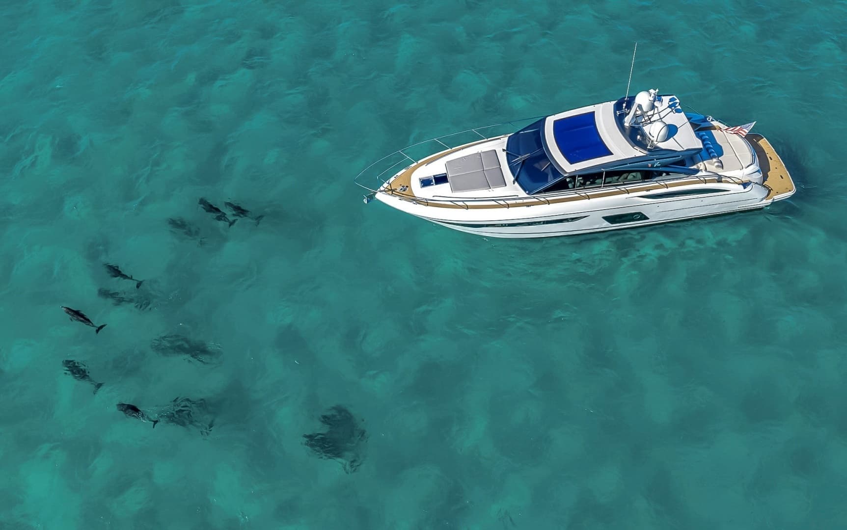 2016 Princess V58-HAPPY HOUR- 