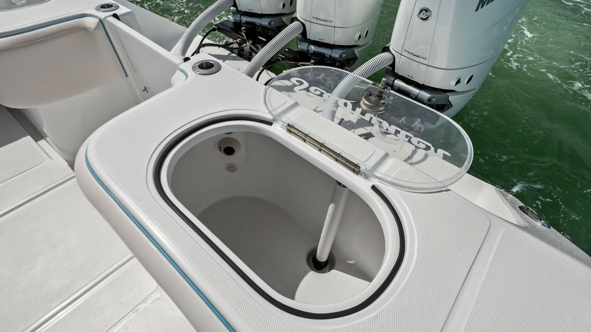 Aft Deck Live Well and Engines