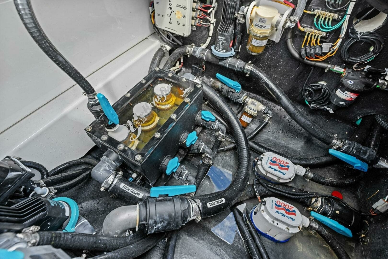 2024 42 Yellowfin