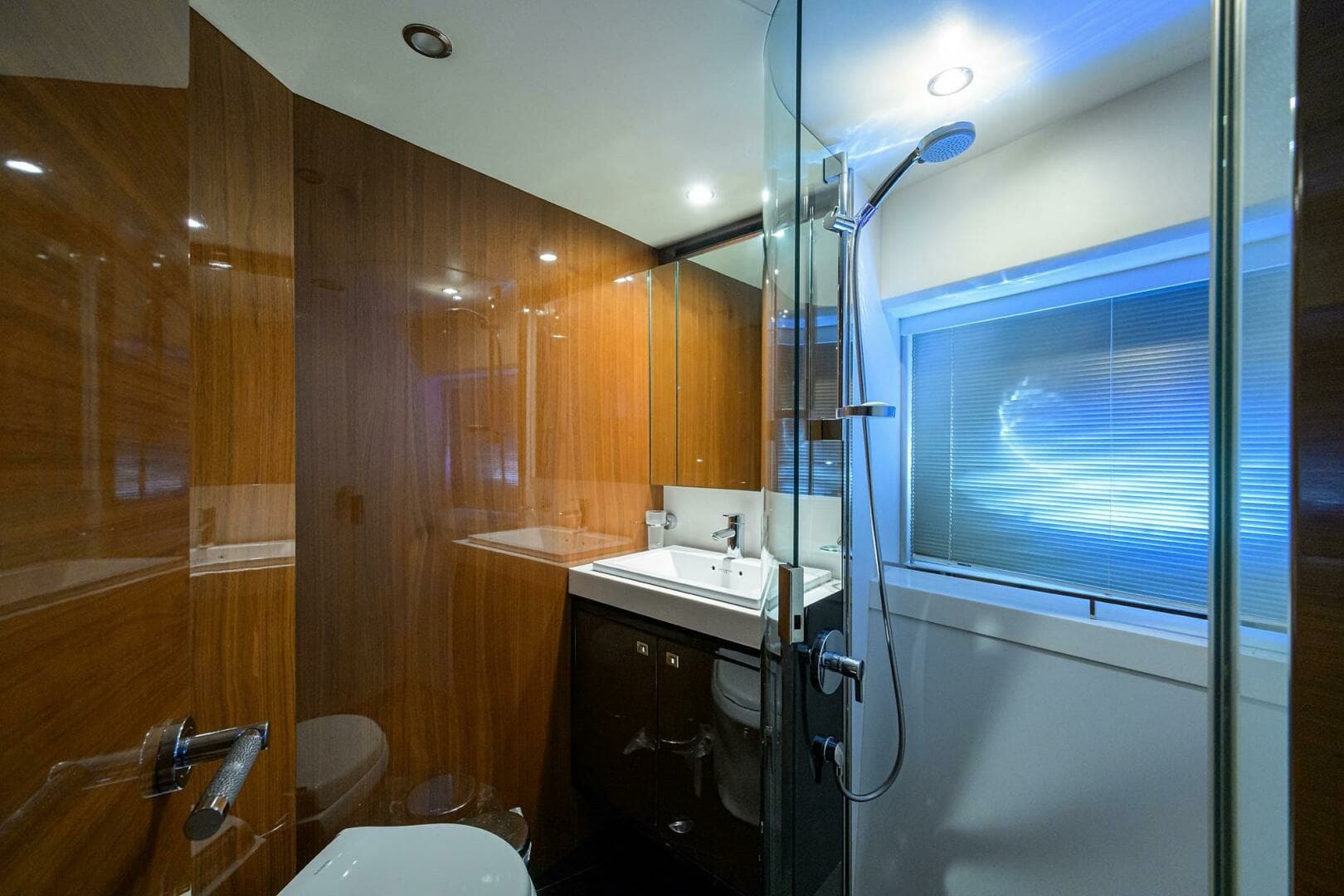 Princess 72 Policy Limits  - Interior Stateroom Head