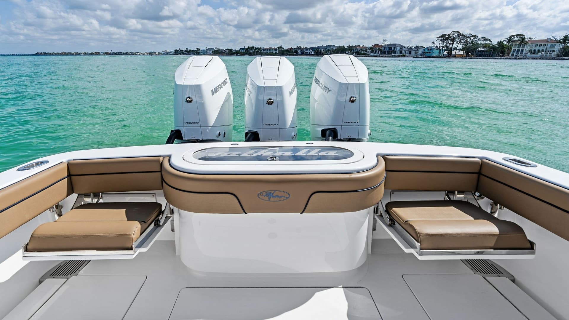 Aft Deck Seating and Engines