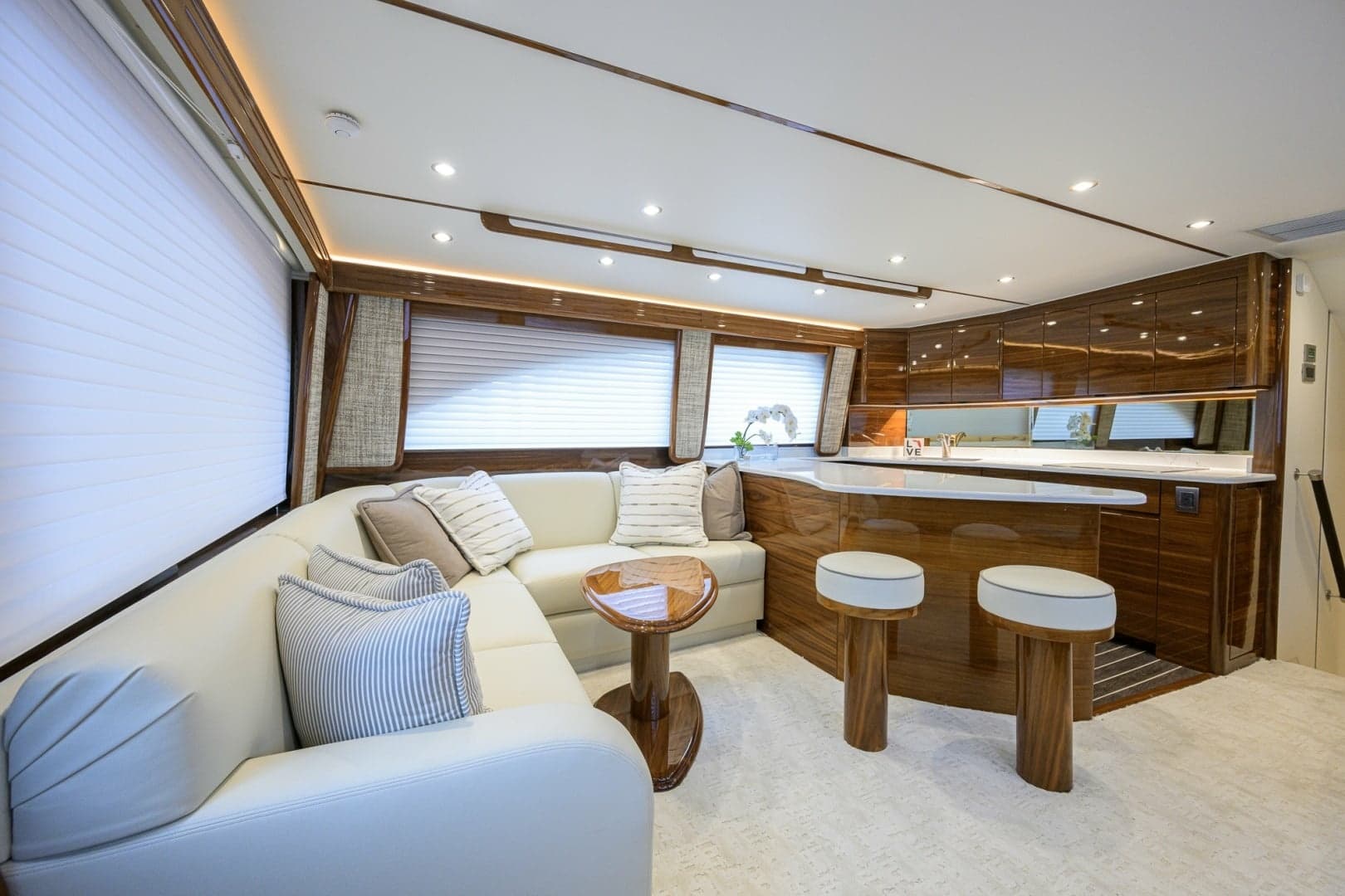 Viking 54 - Dog House - Salon