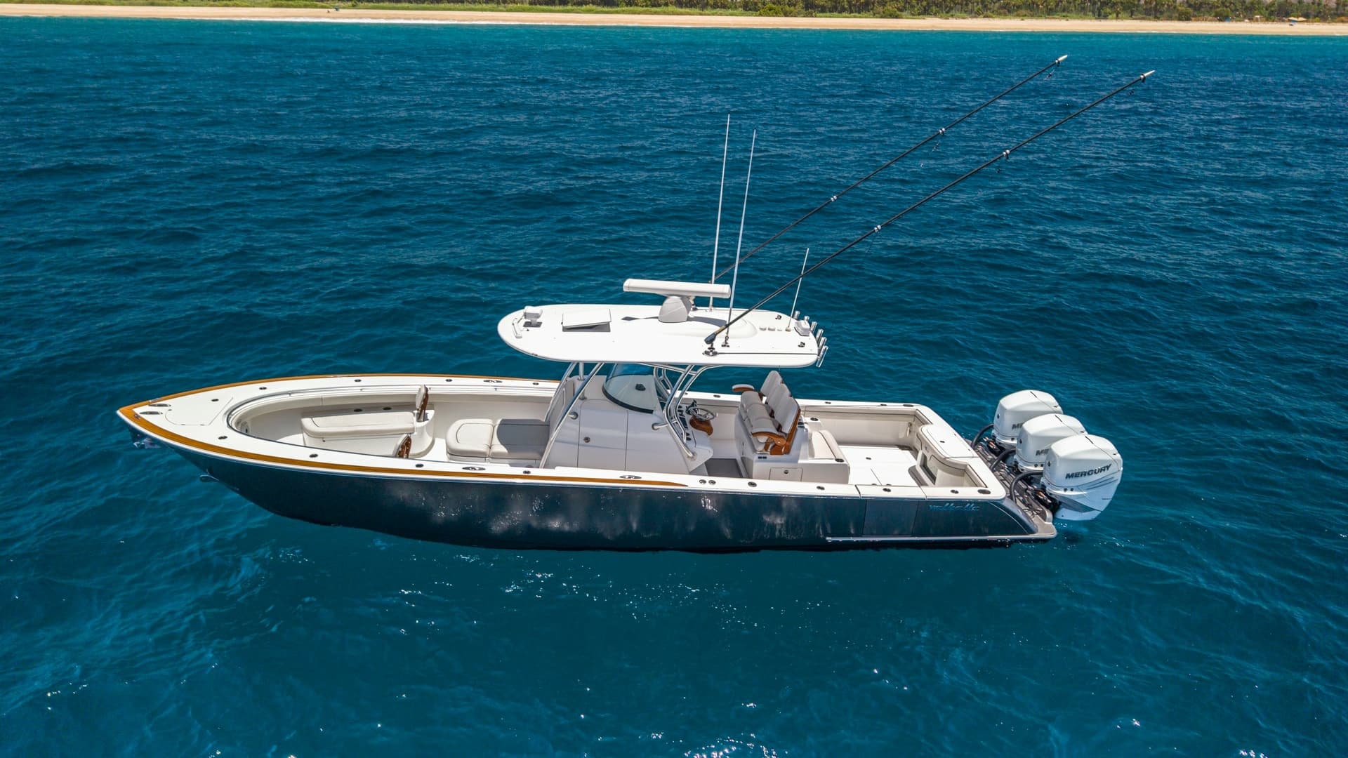 Aerial View of Deck and Outboards