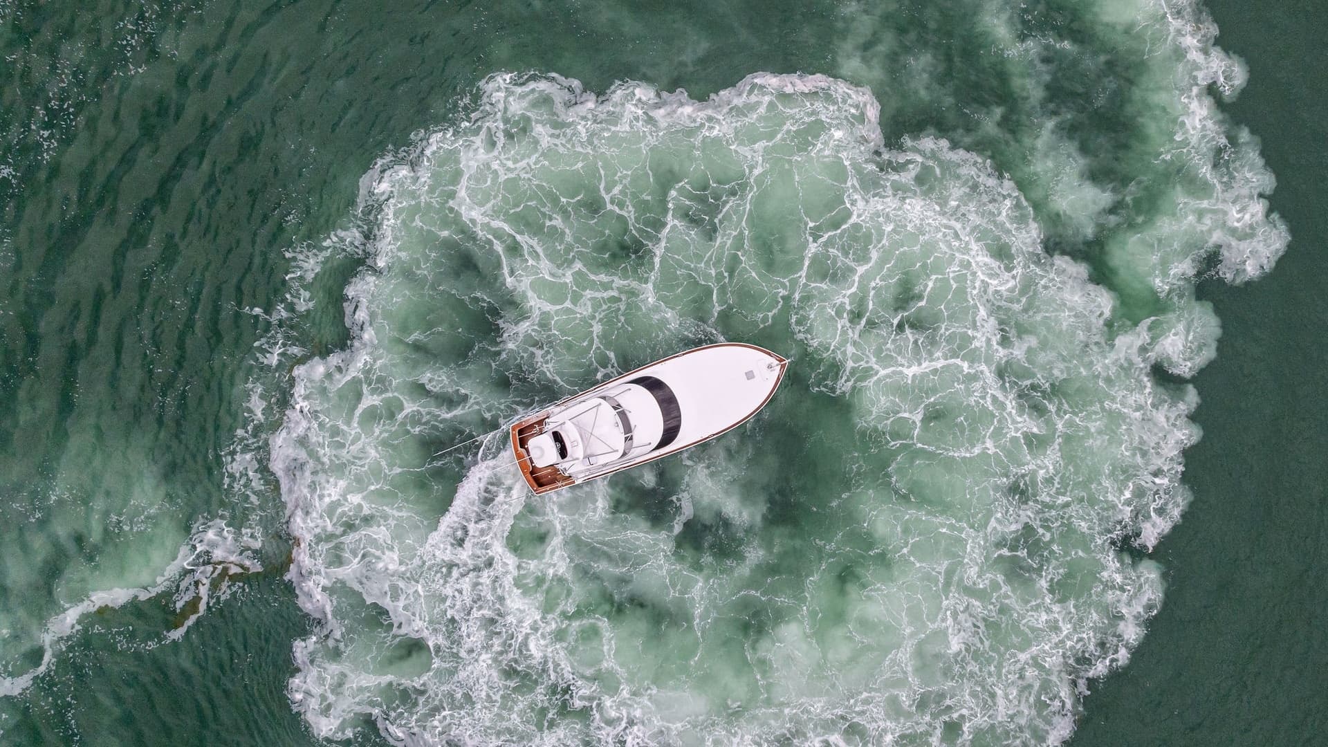 Aerial View of Rosita in Motion