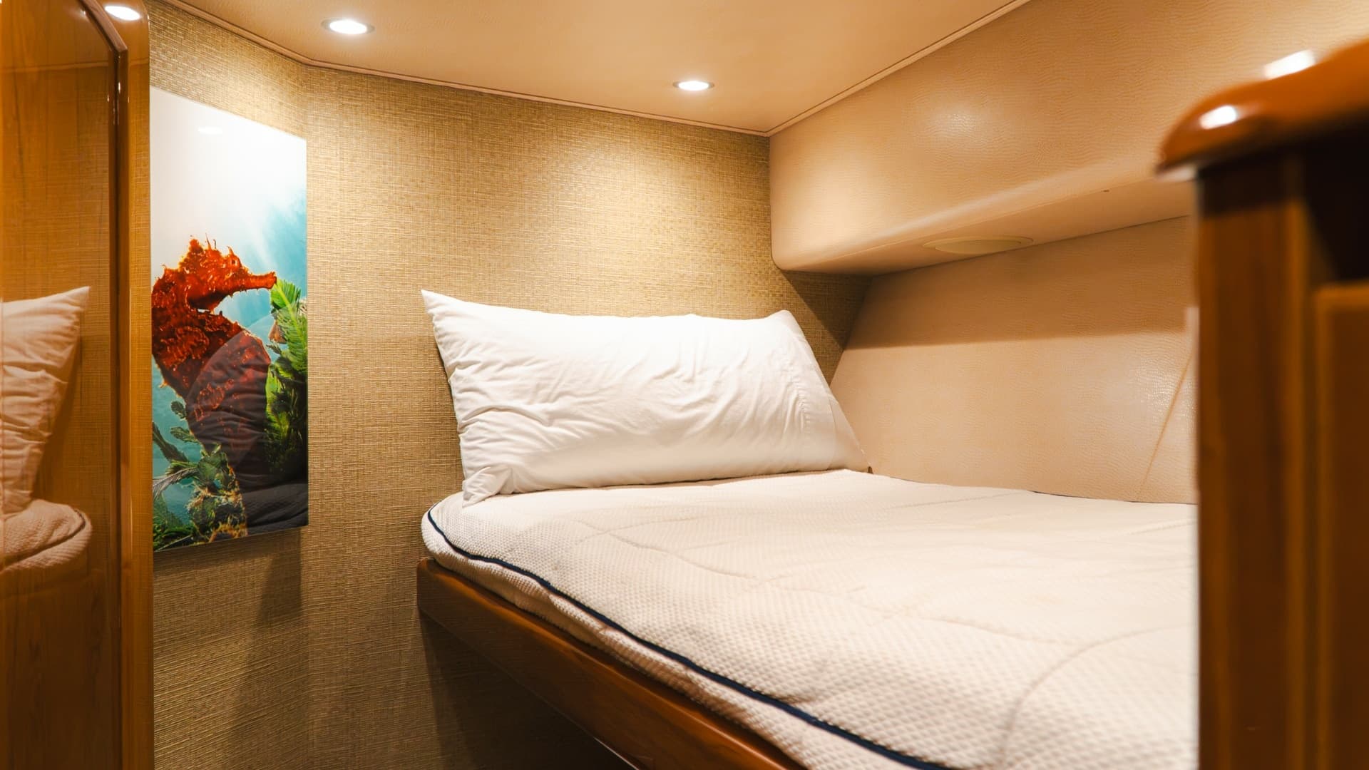 Cozy Guest Stateroom with Art