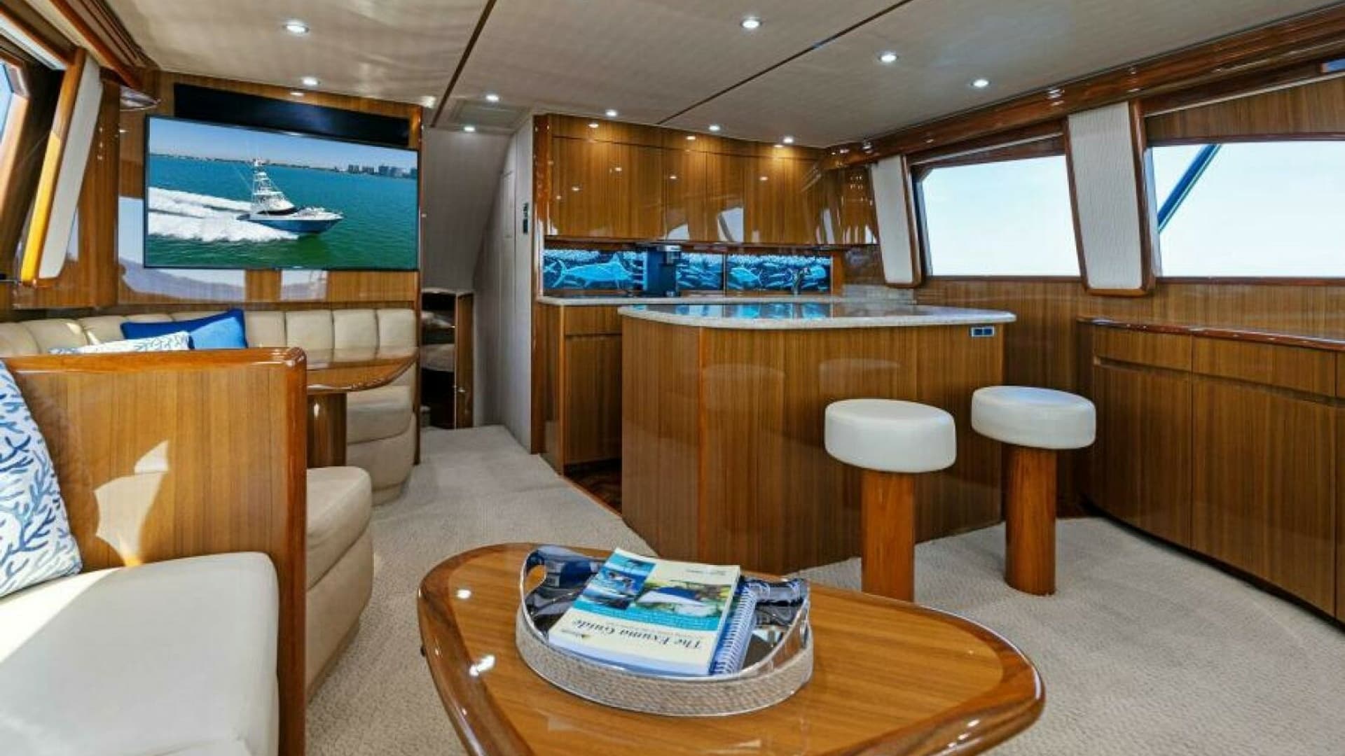 Luxurious Salon and Galley