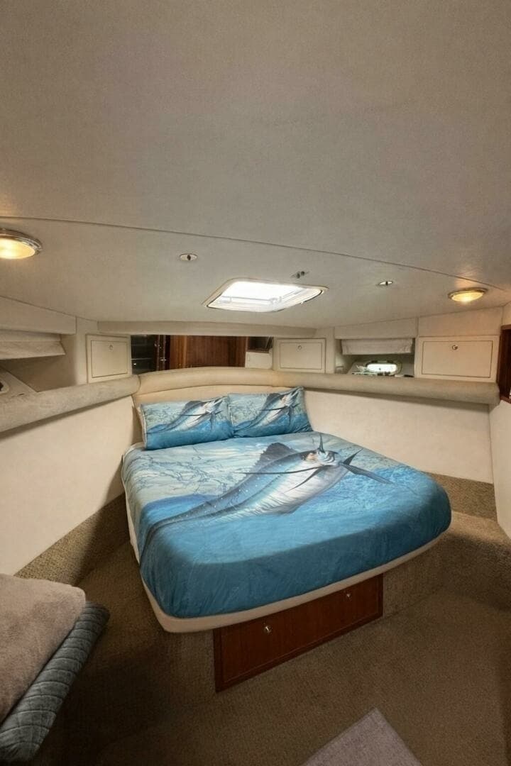 Spacious Forward Stateroom