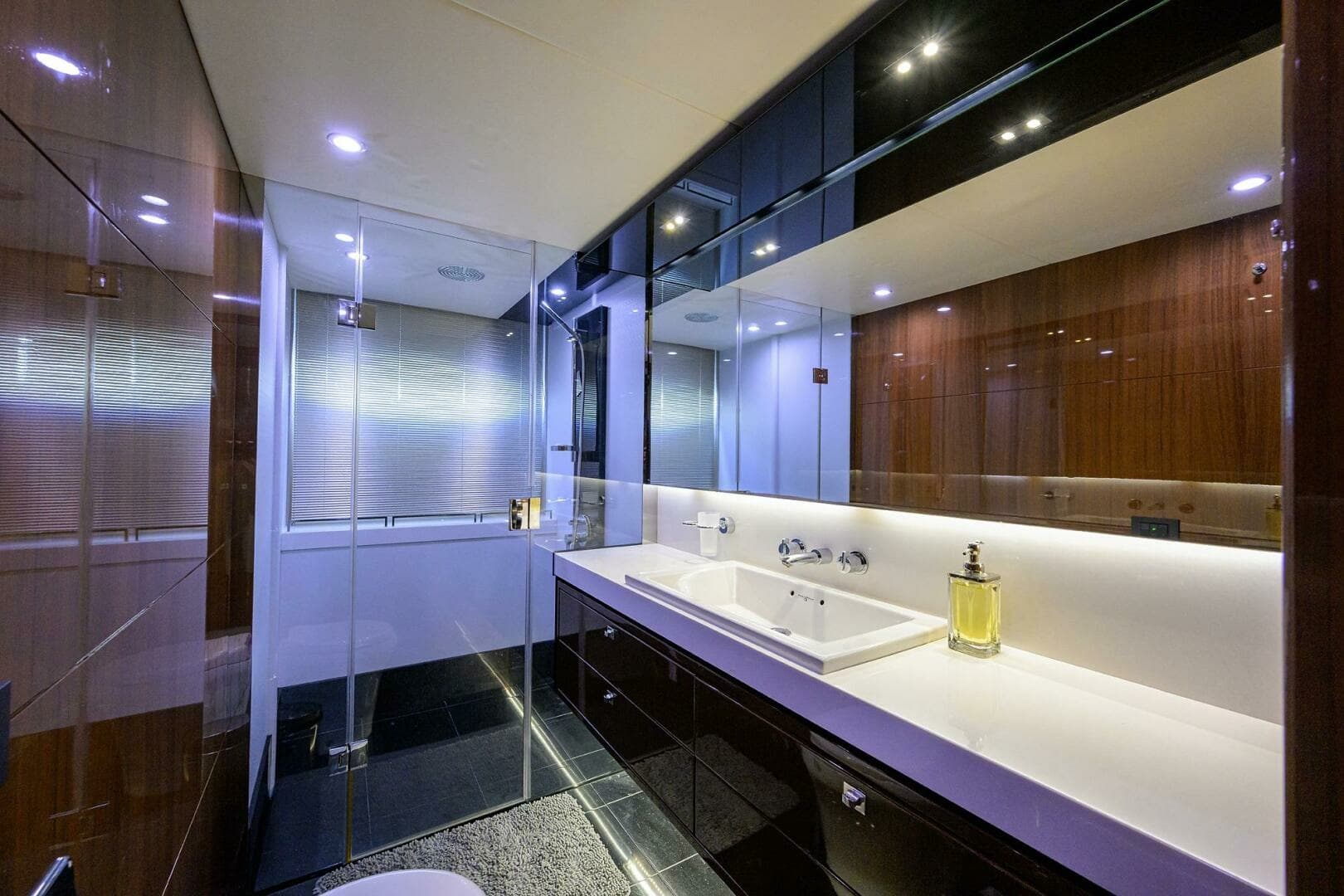 Princess 72 Policy Limits  - Interior Stateroom Head