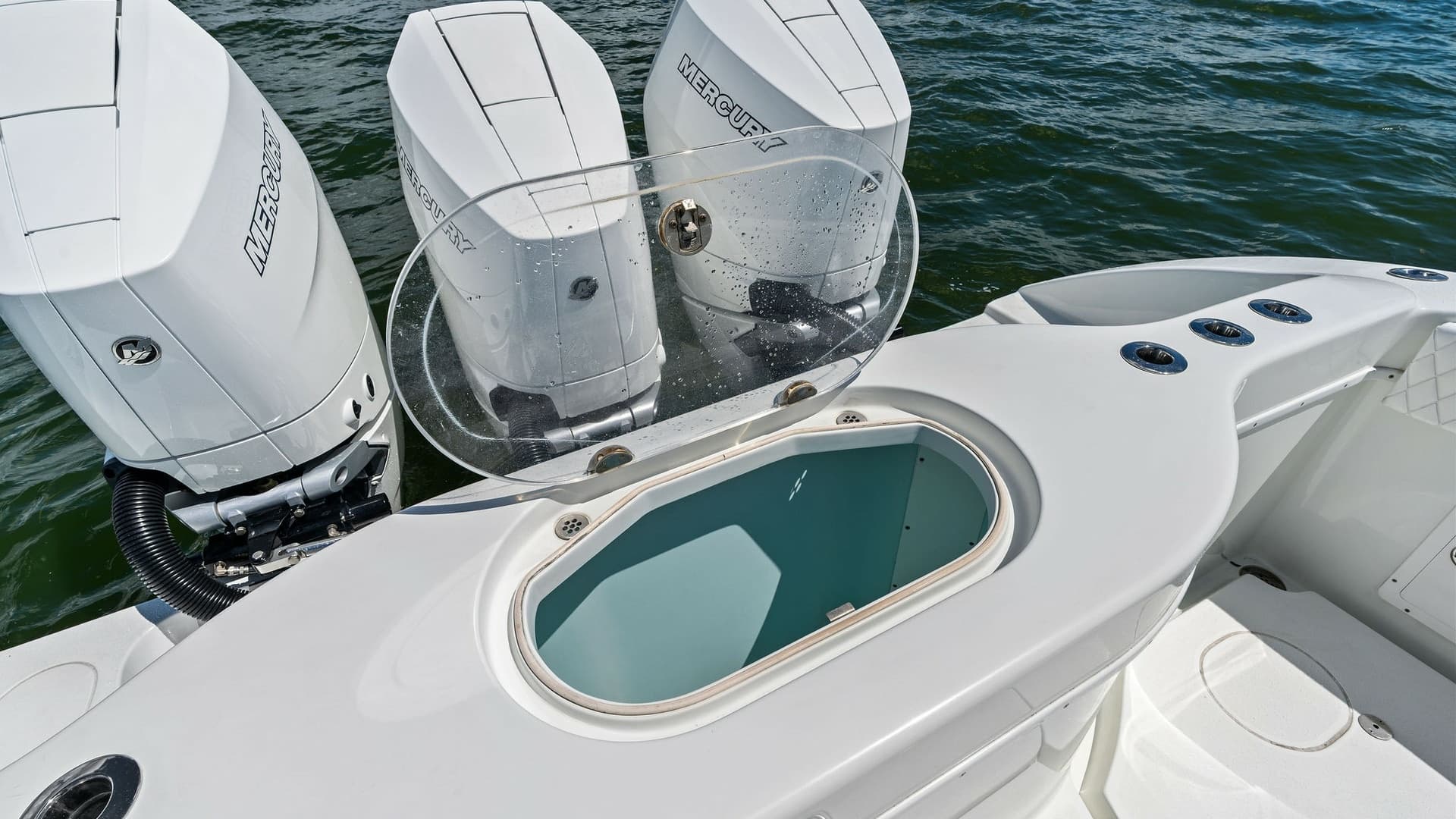 Aft Deck with Livewell and Engines