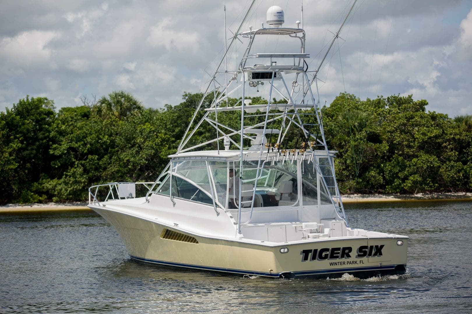 Viking 50 - Tiger Six - Exterior Profile