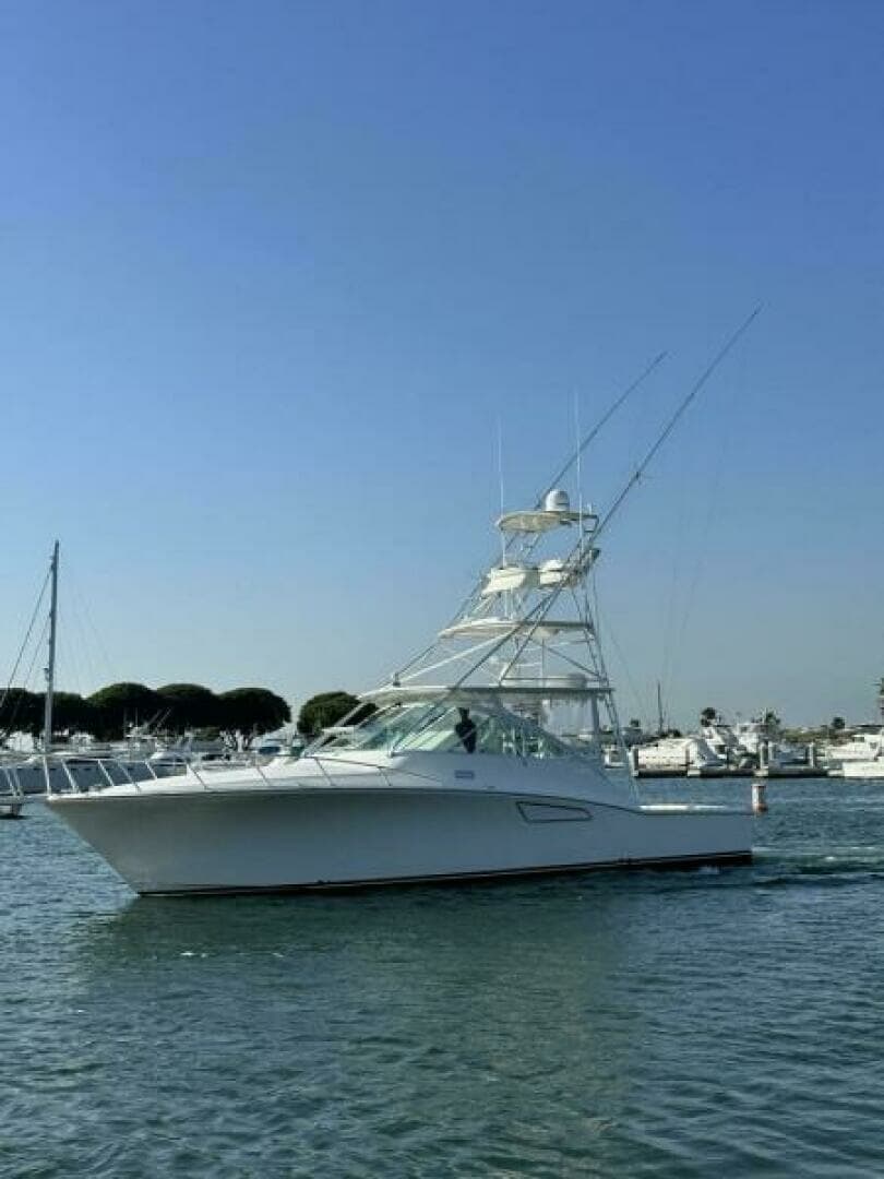 2006 Cabo 40 Express - BUZZ CATCHER